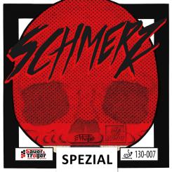 Sauer & Tröger Schmerz Spezial 
