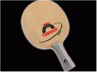 Tibhar Champ anatomisch